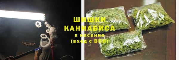 гидра Алексеевка