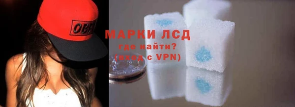 гидра Алексеевка