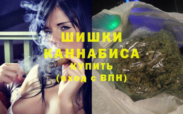 гидра Алексеевка