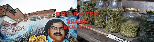 гидра Алексеевка